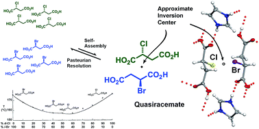 Graphical abstract: Accessing Centnerszwer's quasiracemate – molecular shape controlled molecular recognition