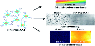 Graphical abstract: Photothermal conversion upon near-infrared irradiation of fluorescent carbon nanoparticles formed from carbonized polydopamine