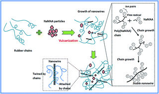 Graphical abstract: Improved mechanical properties and thermal degradation of low-temperature hydrogenated acrylonitrile butadiene rubber composites with poly(sodium methacrylate) nanowires