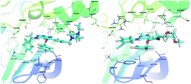 Graphical abstract: Structure guided design and binding analysis of EGFR inhibiting analogues of erlotinib and AEE788 using ensemble docking, molecular dynamics and MM-GBSA