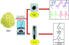 Graphical abstract: Understanding the structural changes and depolymerization of Eucalyptus lignin under mild conditions in aqueous AlCl3