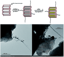 Graphical abstract: Silicon dioxide molecular sieve with mono-layer carbon deposited in the channels and carbon nanotubes on the outside for lithium–sulfur batteries