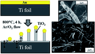 Graphical abstract: Single-crystal TiO2 nanowires by seed assisted thermal oxidation of Ti foil: synthesis and photocatalytic properties
