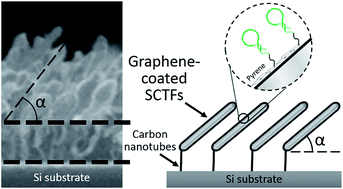 Graphical abstract: Solution-stable anisotropic carbon nanotube/graphene hybrids based on slanted columnar thin films for chemical sensing
