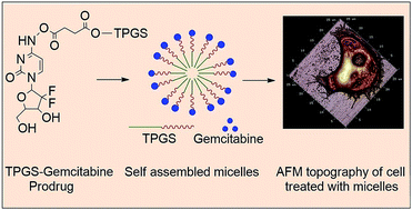 Graphical abstract: Synthesis and characterization of TPGS–gemcitabine prodrug micelles for pancreatic cancer therapy