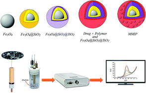 Graphical abstract: Fabrication of a novel electrochemical sensing platform based on a core–shell nano-structured/molecularly imprinted polymer for sensitive and selective determination of ephedrine