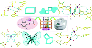 Graphical abstract: Eco-friendly microwave synthesis of Mg(ii) phenoxy carboxylic acid coordination compounds with specific motifs driven by multiple hydrogen bonding
