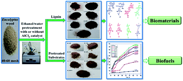 Graphical abstract: A mild AlCl3-catalyzed ethanol pretreatment and its effects on the structural changes of Eucalyptus wood lignin and the saccharification efficiency