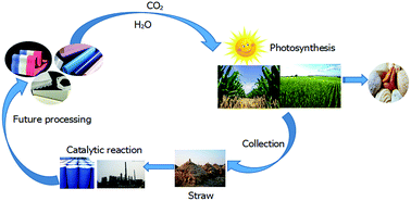 Graphical abstract: The technology of straw sugar conversion to diol chemicals