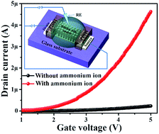 Graphical abstract: Ammonium ion detection in solution using vertically grown ZnO nanorod based field-effect transistor