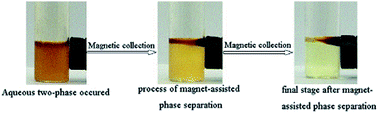 Graphical abstract: Synthesis, magnetism, aqueous-two phase formation and physical properties of novel guanidinium-based magnetic ionic liquids