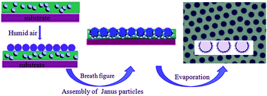 Graphical abstract: Exploration of selective decoration of Janus silica particles within polymeric patterned pore arrays