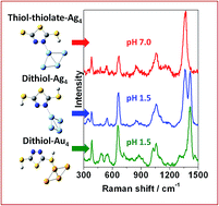 Graphical abstract: Surface selective binding of 2,5-dimercapto-1,3,4-thiadiazole (DMTD) on silver and gold nanoparticles: a Raman and DFT study