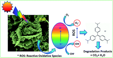 Graphical abstract: Visible light assisted improved photocatalytic activity of combustion synthesized spongy-ZnO towards dye degradation and bacterial inactivation