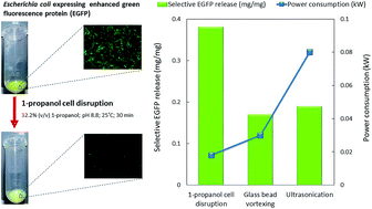 Graphical abstract: A versatile and economical method for the release of recombinant proteins from Escherichia coli by 1-propanol cell disruption