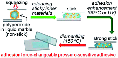 Graphical abstract: Liquid marble containing degradable polyperoxides for adhesion force-changeable pressure-sensitive adhesives