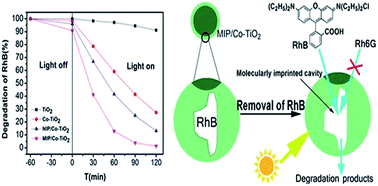 Graphical abstract: A convenient approach of MIP/Co–TiO2 nanocomposites with highly enhanced photocatalytic activity and selectivity under visible light irradiation