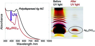Graphical abstract: UV photo-mediated size-focusing synthesis of silver nanoclusters