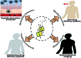 Graphical abstract: Design and strategies for bile acid mediated therapy and imaging