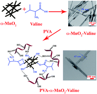 Graphical abstract: Covalent surface modification of α-MnO2 nanorods with l-valine amino acid by solvothermal strategy, preparation of PVA/α-MnO2-l-valine nanocomposite films and study of their morphology, thermal, mechanical, Pb(ii) and Cd(ii) adsorption properties