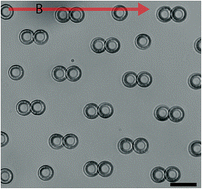 Graphical abstract: Solid microscopic rings formed via wetting and subsequent dewetting