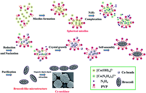 Graphical abstract: Preparation of broccoli-like ferromagnetic cobalt microstructures with superior coercivity via an aqueous reduction strategy