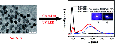 Graphical abstract: Understanding of nitrogen-doped carbon nanoparticles based solid phosphors for white light emitting diodes