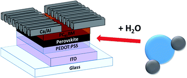 Graphical abstract: Systematic study on the impact of water on the performance and stability of perovskite solar cells