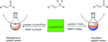 Graphical abstract: Two catalytic systems of l-proline/Cu(ii) catalyzed allylic oxidation of olefins with tert-butyl hydroperoxide