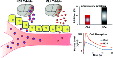 Graphical abstract: Hydrophilic nanoparticles packed in oral tablets can improve the plasma profile of short half-life hydrophobic drugs