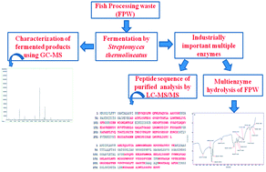 Graphical abstract: Microbial assisted industrially important multiple enzymes from fish processing waste: purification, characterization and application for the simultaneous hydrolysis of lipid and protein molecules