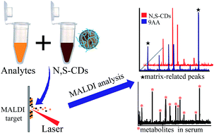 Graphical abstract: Development of N,S-doped carbon dots as a novel matrix for the analysis of small molecules by negative ion MALDI-TOF MS