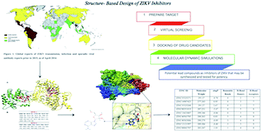 Graphical abstract: Zika virus drug targets: a missing link in drug design and discovery – a route map to fill the gap