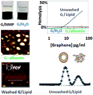 Graphical abstract: Dispersal of pristine graphene for biological studies