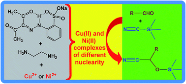 Graphical abstract: Reaction of sodium 2-(2-(2,4-dioxopentan-3-ylidene)hydrazinyl) benzenesulfonate with ethylenediamine on Cu(ii) and Ni(ii) centres: efficient Cu(ii) homogeneous catalysts for cyanosilylation of aldehydes