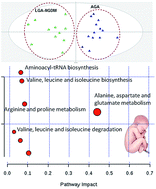 Graphical abstract: Investigating the metabolic fingerprint of term infants with normal and increased fetal growth