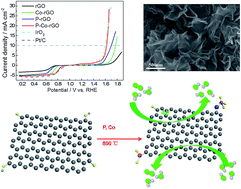 Graphical abstract: Phosphorus and cobalt co-doped reduced graphene oxide bifunctional electrocatalyst for oxygen reduction and evolution reactions