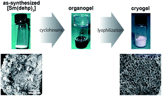 Graphical abstract: Fabrication of a monolithic cryogel from the cyclohexane organogel of a coordination polymer based on a phosphoester