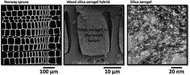 Graphical abstract: Design of a hierarchically structured hybrid material via in situ assembly of a silica aerogel into a wood cellular structure
