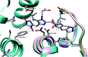 Graphical abstract: Crystal structure analysis of phycocyanin from chromatically adapted Phormidium rubidum A09DM