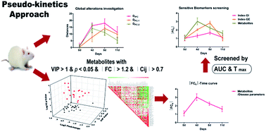 Graphical abstract: A pseudo-kinetics approach for time-series metabolomics investigations: more reliable and sensitive biomarkers revealed in vincristine-induced paralytic ileus rats