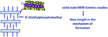 Graphical abstract: Hydrolysis-condensation reactions of diethylphosphato-ethyltriethoxysilane involved in organic–inorganic talc-like hybrid synthesis: liquid and solid-state NMR investigations