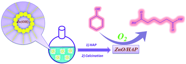 Graphical abstract: Oxidation of cyclohexanol to adipic acid with molecular oxygen catalyzed by ZnO nanoparticles immobilized on hydroxyapatite