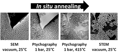 Graphical abstract: Influence of gas atmospheres and ceria on the stability of nanoporous gold studied by environmental electron microscopy and in situ ptychography