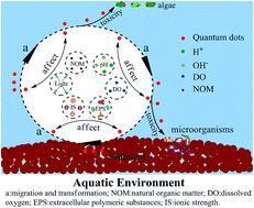 Graphical abstract: Metal-based quantum dots: synthesis, surface modification, transport and fate in aquatic environments and toxicity to microorganisms