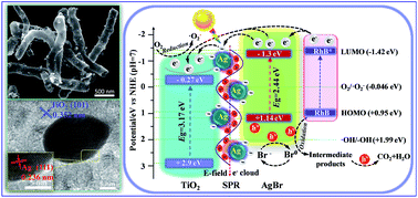 Graphical abstract: Monodisperse Ag–AgBr nanocrystals anchored on one-dimensional TiO2 nanotubes with efficient plasmon-assisted photocatalytic performance