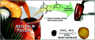 Graphical abstract: Bio-based plant oil polymers from ROMP of norbornene modified with triglyceride from crude red palm olein