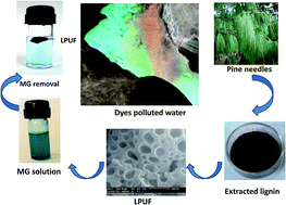 Graphical abstract: New lignin-based polyurethane foam for wastewater treatment