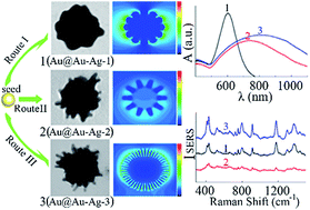 Graphical abstract: Simply controllable growth of single crystal plasmonic Au–Ag nano-spines with anisotropic multiple sites for highly sensitive and uniform surface-enhanced Raman scattering sensing