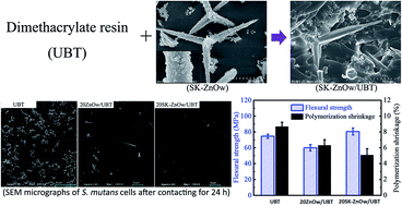 Graphical abstract: Development of high performance dental resin composites with outstanding antibacterial activity, high mechanical properties and low polymerization shrinkage based on a SiO2 hybridized tetrapod-like zinc oxide whisker with C [[double bond, length as m-dash]] C bonds